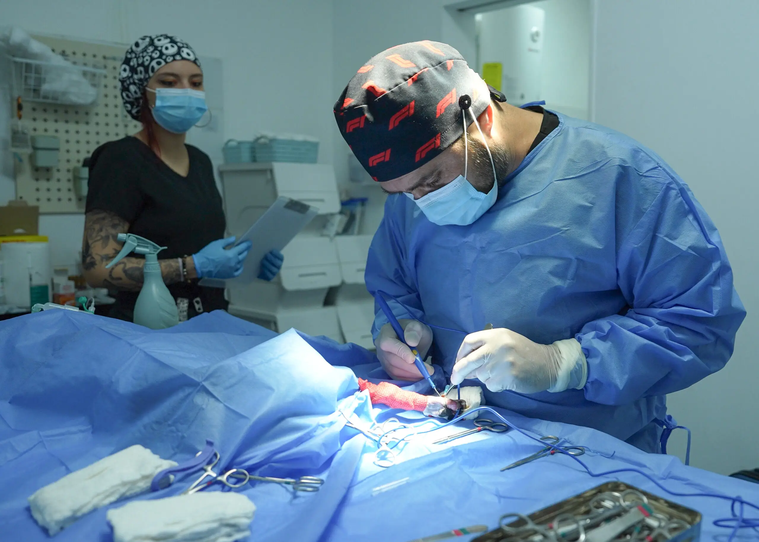Cirugía oncológica veterinaria en COV Santiago: equipo especializado realizando operación de tumor en mascota con tecnología avanzada