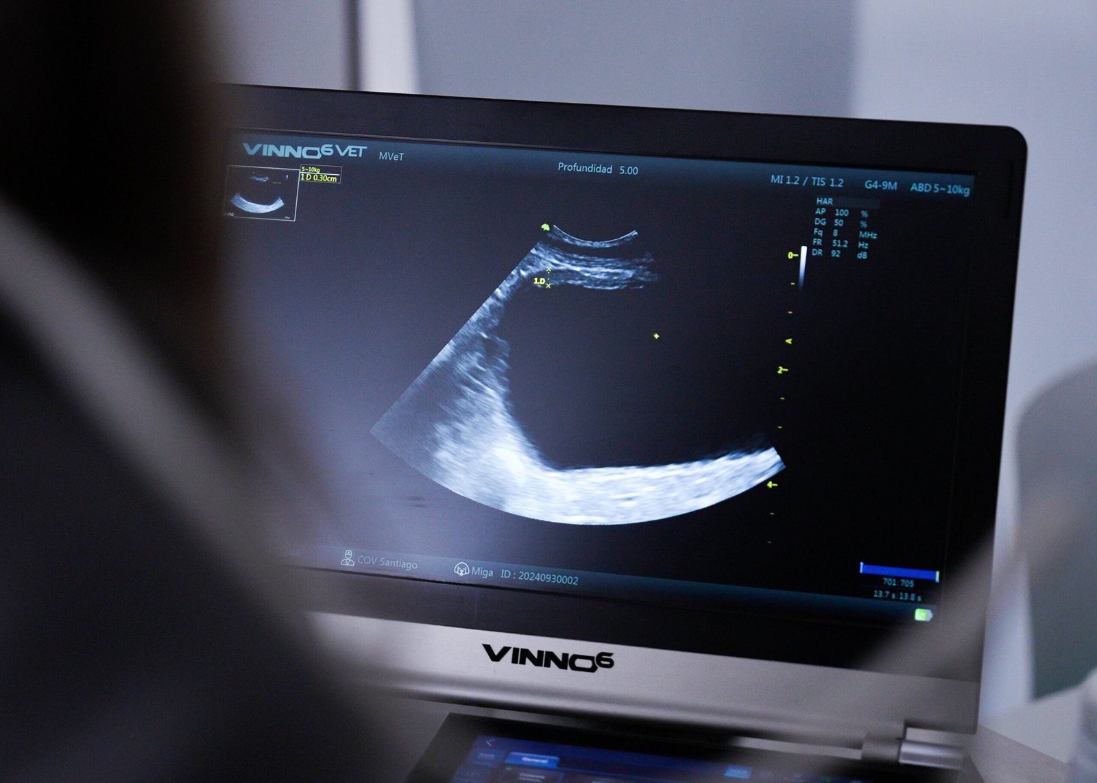 Diagnóstico por imágenes en oncología veterinaria: Tomografías, ecografías y radiografías para detectar cáncer en mascotas | COV Santiago