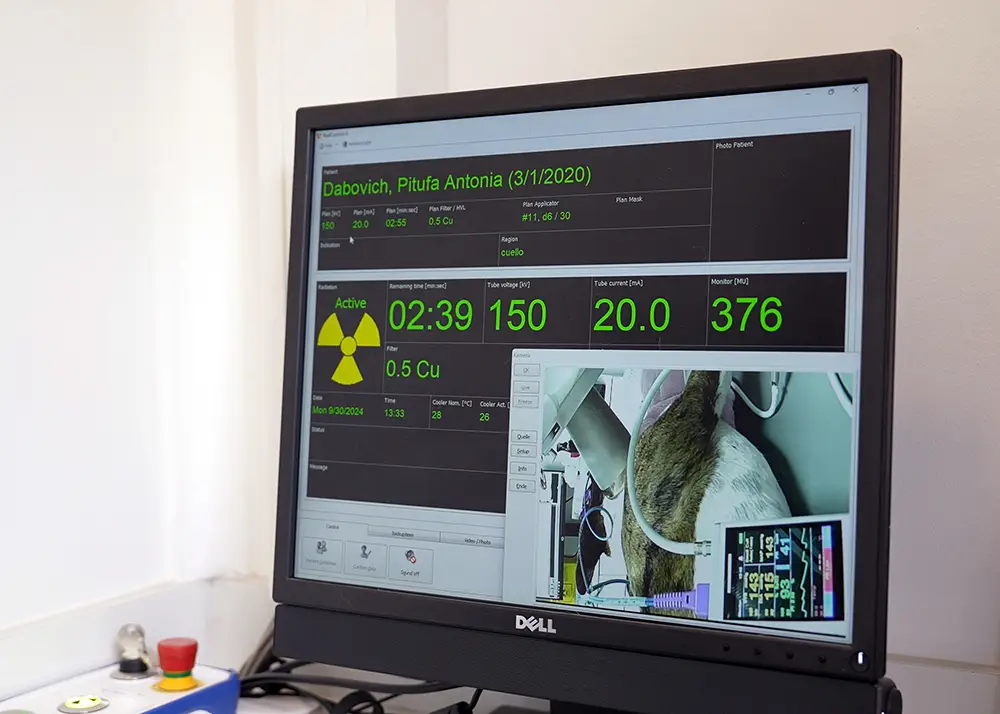 Radioterapia Veterinaria en Centro Oncologico Veterinario Santiago 2