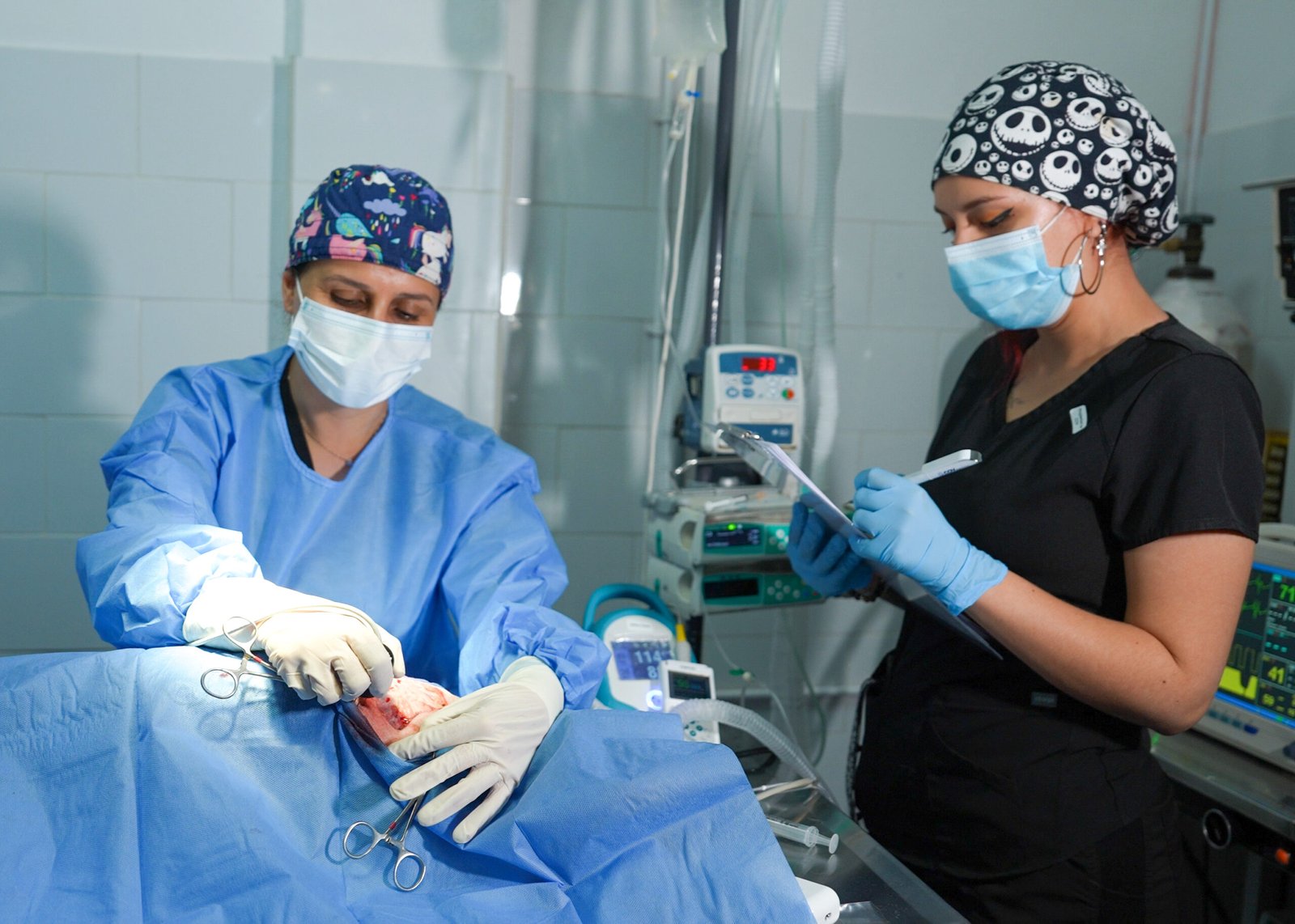 electroquimioterapia centor oncologico veterinario santiago