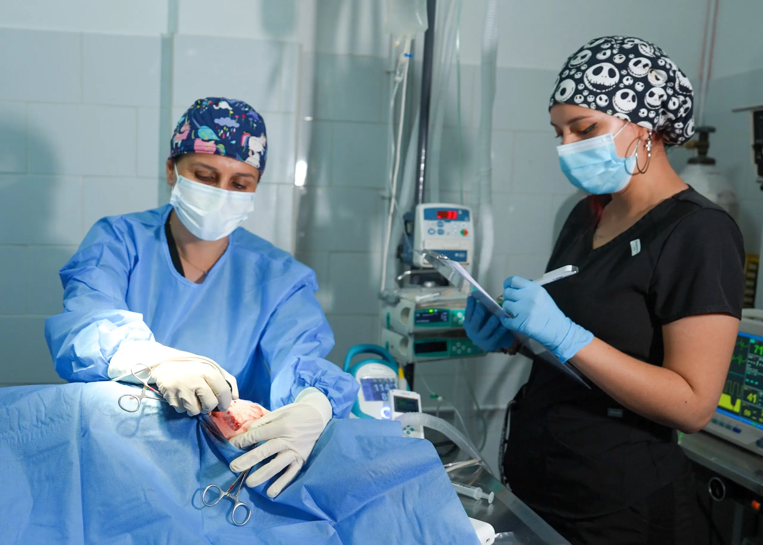 Veterinario realizando electroquimioterapia veterinaria a perro con tumor en Centro Oncológico Veterinario Santiago - Tratamiento de cáncer avanzado para mascotas