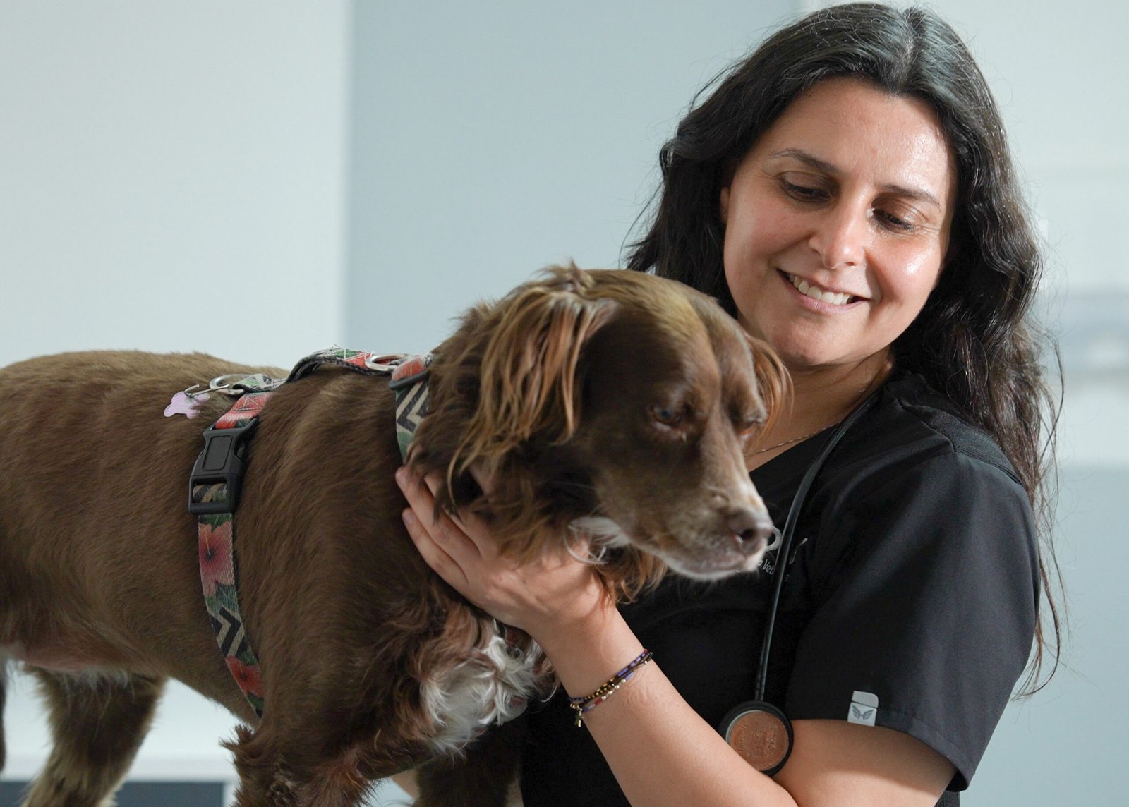 oncologia-veterinaria-centro-oncologico-veterinario-santiago-daniela-zaror